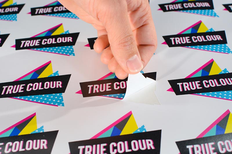 TrueVIS SG Series decal and labels